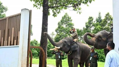 ডুলাহাজারা সাফারি পার্ক পরিদর্শনকালে প্রধানমন্ত্রী তারেক রহমানকে সালাম দেয় হাতি