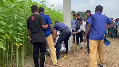 পাটক্ষেত থেকে জামায়াত কর্মীর লাশ উদ্ধার