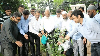 ডা. জুবাইদা রহমানের জন্মদিনে গাছের চারা রোপণ করা করা হয়