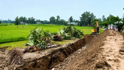 সিরাজগঞ্জের উল্লাপাড়া উপজেলার কয়ড়া ইউনিয়নে রাস্তার উন্নয়নকাজের জন্য বজ্রপাত প্রতিরোধে রোপণ করা সরকারি তালগাছ উপড়ে ফেলা হয়েছে