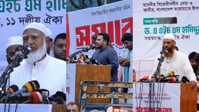 শফিকুর রহমান, নাহিদ ইসলাম ও মামুনুল হক (কোলাজ)