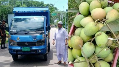 মুখ্যমন্ত্রী মানিক সাহা ও রাজ্যের গুরুত্বপূর্ণ ব্যক্তিবর্গের জন্য ৬০০ কেজি আম আখাউড়া স্থলবন্দর দিয়ে ভারতে বাংলাদেশ মিশনের প্রতিনিধিদের কাছে পাঠানো হয়