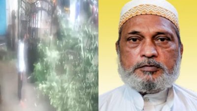 ভারতের মুম্বাইয়ে চলমান মৌসুমি বৃষ্টির মধ্যে গাছ ভেঙে পড়ে এক বৃদ্ধের মৃত্যু হয়েছে। ছবি: এনডিটিভি