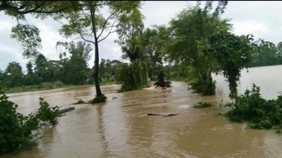 ভেসে গেছে পুকুর ও দিঘির মাছ