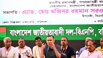 সাংগঠনিক সভায় বিএনপি চেয়ারম্যান
