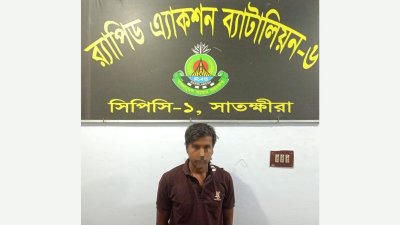 আসামি সাঈদ মেহেদী