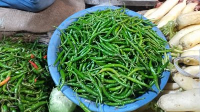 কাঁচামরিচ (ফাইল ছবি)