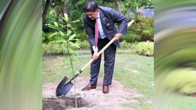 মালদ্বীপে গাছ লাগালেন পররাষ্ট্রমন্ত্রী খলিলুর রহমান