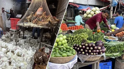 মুরগি ও সবজি (ফাইল ছবি)