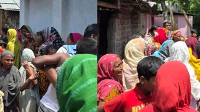 পুত্রবধূ ও শ্বশুরের মৃত্যুতে নেমে এসেছে শোকের ছায়া
