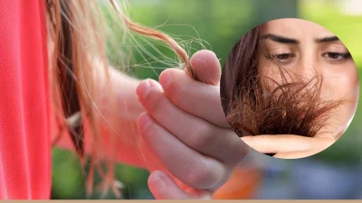 ছবি: বাংলা ট্রিবিউন কোলাজ।