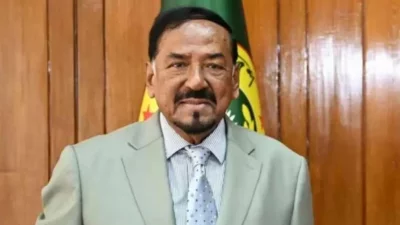 ভারপ্রাপ্ত রাষ্ট্রপতি হাফিজ উদ্দিন আহমদ, বীর বিক্রম