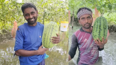 তরমুজ ক্ষেতে মৃত্যুঞ্জয়