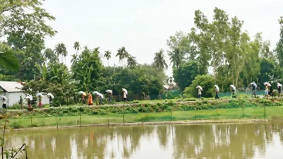 কুড়িগ্রামের ভূরুঙ্গামারীতে ডিলারের গুদামের দরজা ভেঙে ১৯৭ বস্তা ইউরিয়া সার নিয়ে গেছেন কৃষকরা