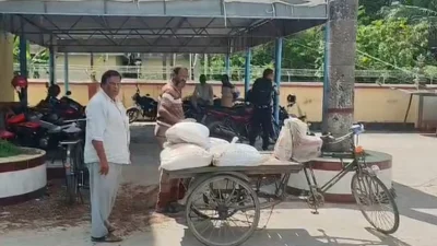 কিনে এনে কৃষকদের মাঝে সার বিতরণ করতে হয়েছে