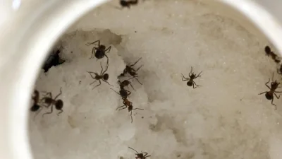 প্রতীকী ছবি