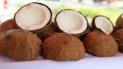 শুকনো নারকেল (ছবি: সংগৃহীত)