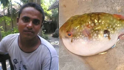 সাতক্ষীরার আশাশুনিতে পটকা মাছ খেয়ে এক পরিবারের পাঁচ জন অসুস্থ হয়ে পড়েছেন