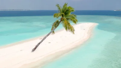 মাফুশি