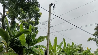 এই পিলার থেকে চুরি হয়ে গেছে ট্রান্সফরমার