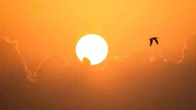 আন্তর্জাতিক দীপ্তিময় শান্তি দিবস