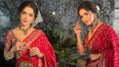 অভিনেত্রী তানজিন তিশা (ছবি: সংগৃহীত)