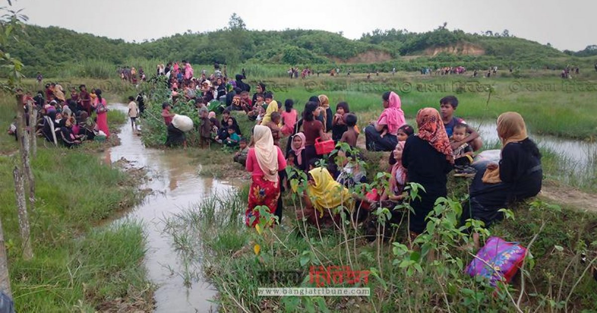 টিআইপি রিপোর্ট: রোহিঙ্গা পাচারে সহায়তা করেছিলেন বিগত সরকারের কিছু বাংলাদেশি কর্মকর্তা