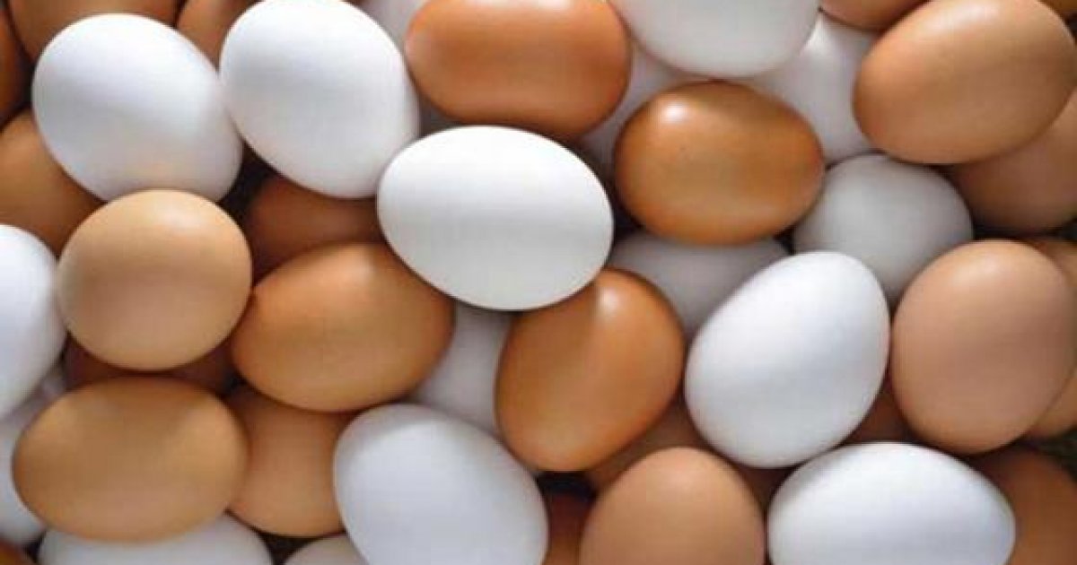 Permiso para importar 4,5 millones de huevos