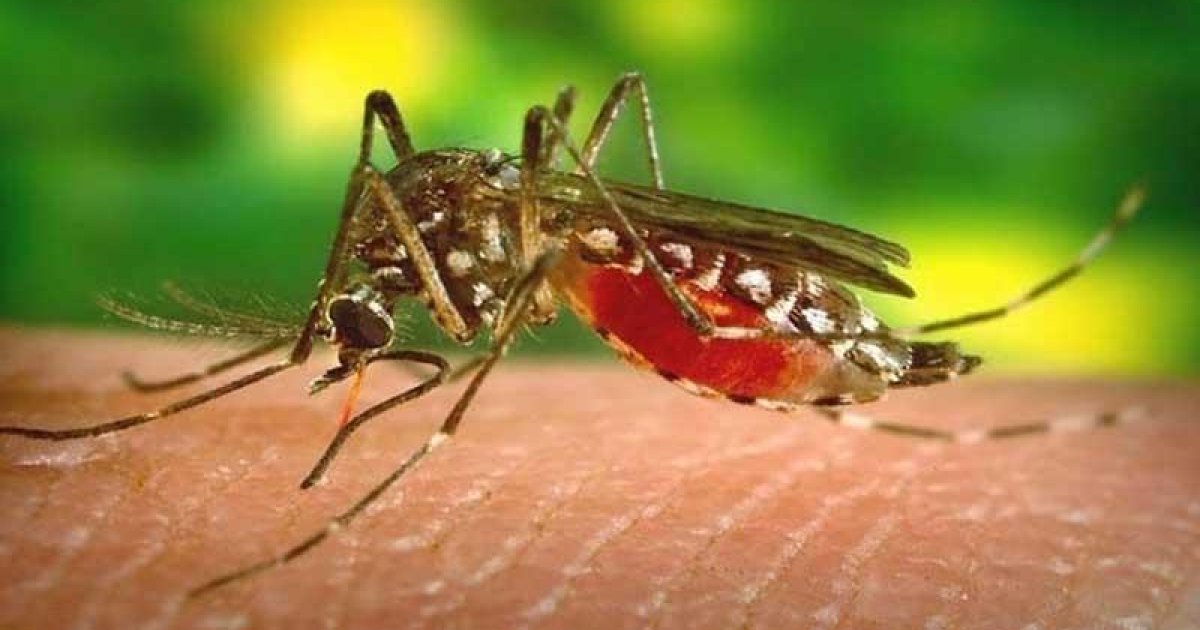 চট্টগ্রামে ডেঙ্গুতে মৃত্যু হলো আরও একজনের