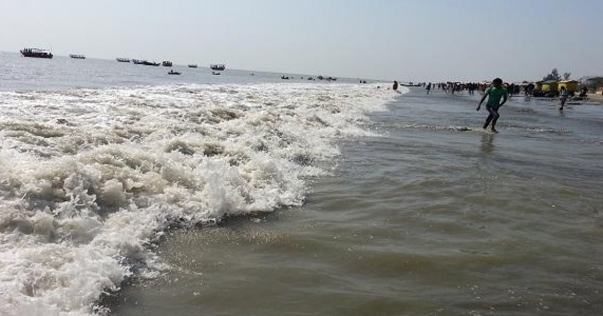 কুয়াকাটা সমুদ্রসৈকতে আবারও ভেসে এলো মৃত ডলফিন