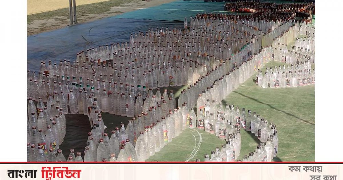 Yalangoch mushuklar bilan paypoqlarda