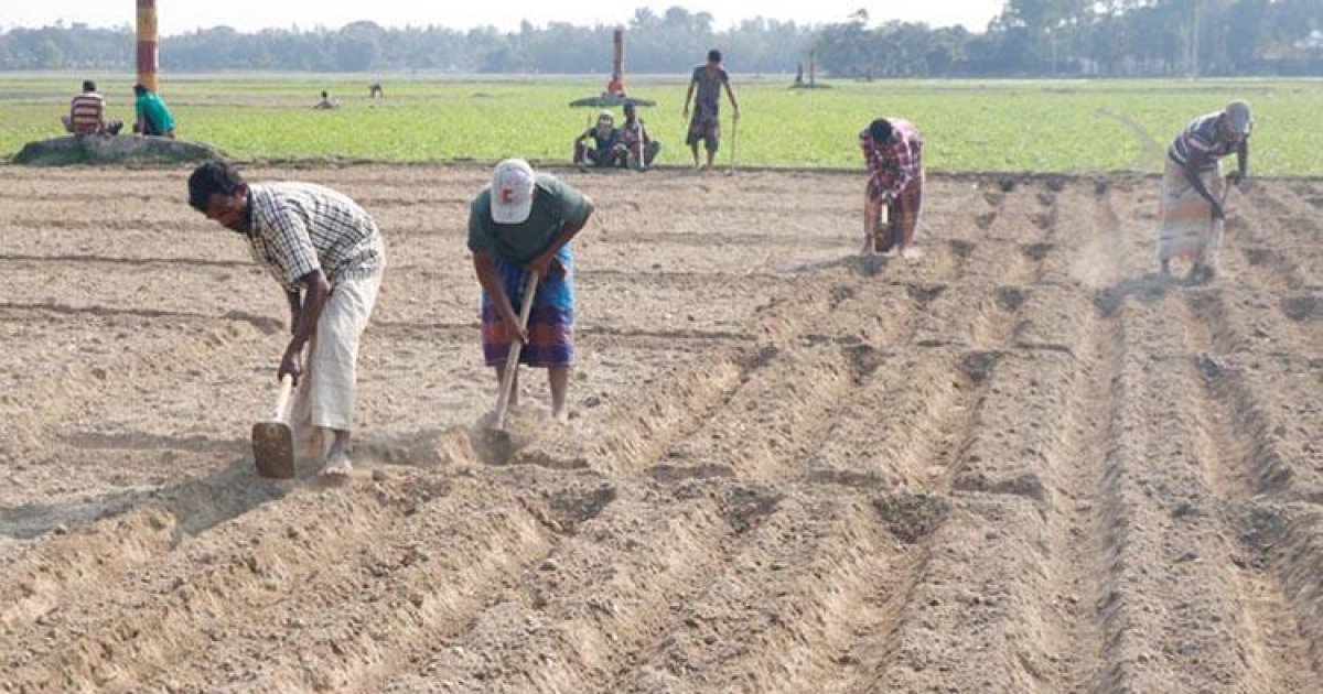 অবশেষে জুলাইয়ে চালু হচ্ছে ভূমি মালিকানা সনদ