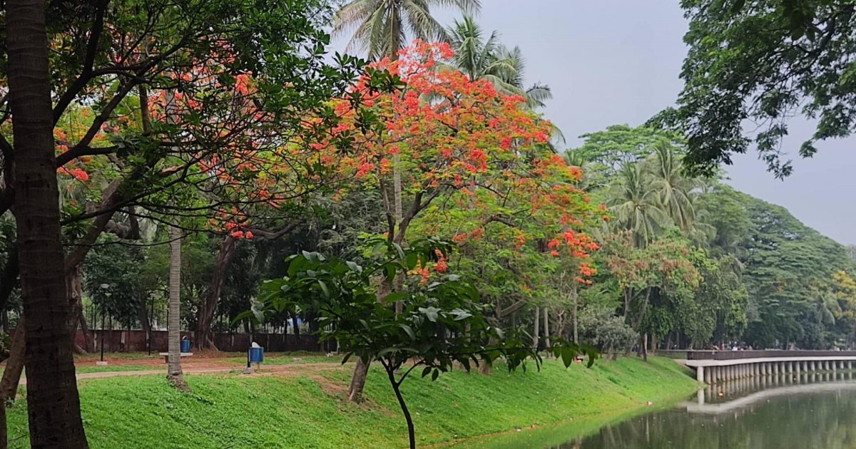 রাজধানীর বিভিন্ন এলাকায় তিন জনের মরদেহ উদ্ধার