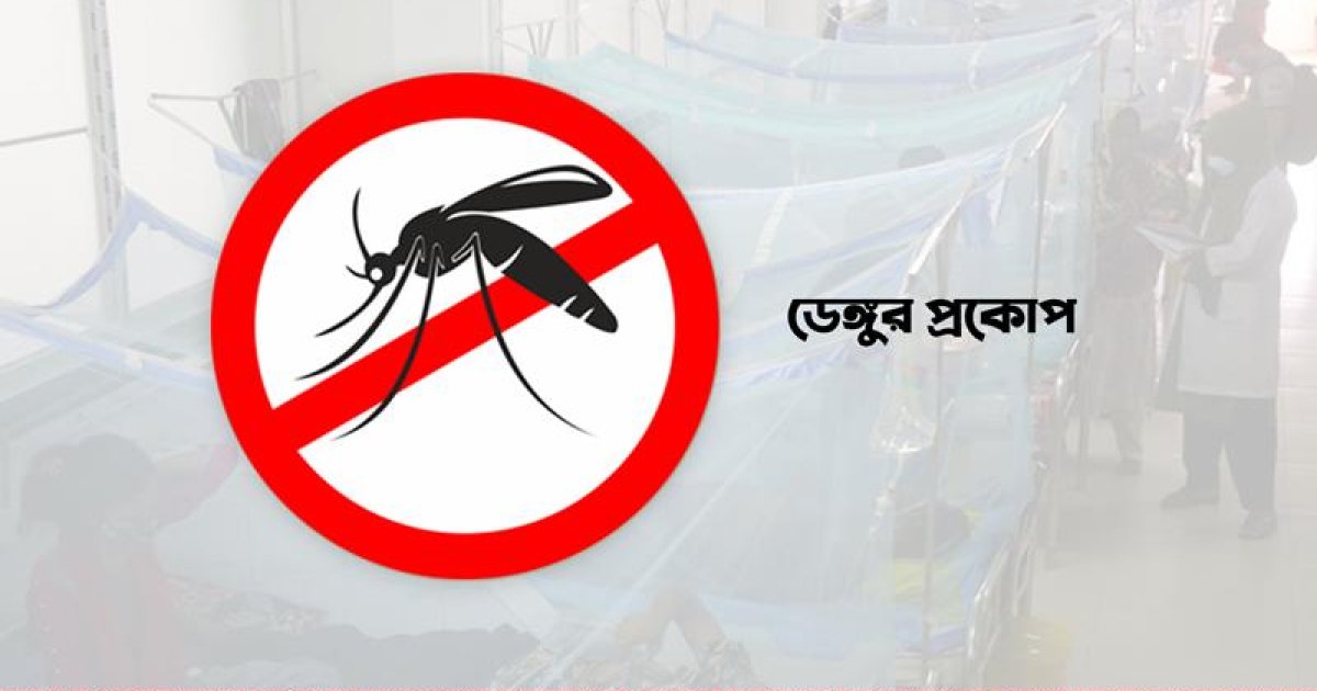 ডেঙ্গুতে আরও ১২ মৃত্যু