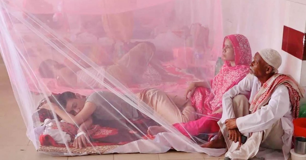 ডেঙ্গুতে আরও ২ জনের মৃত্যু, হাসপাতালে ভর্তি ৭২৫