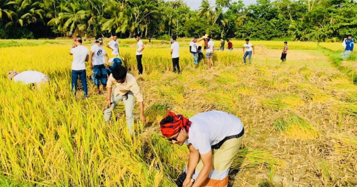 বৈশ্বিক খাদ্য সংকটের প্রভাব বাংলাদেশের জন্য কতটা চ্যালেঞ্জ হতে পারে