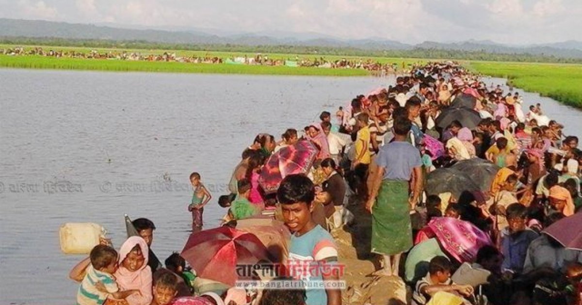 When will the Rohingya return to Myanmar?