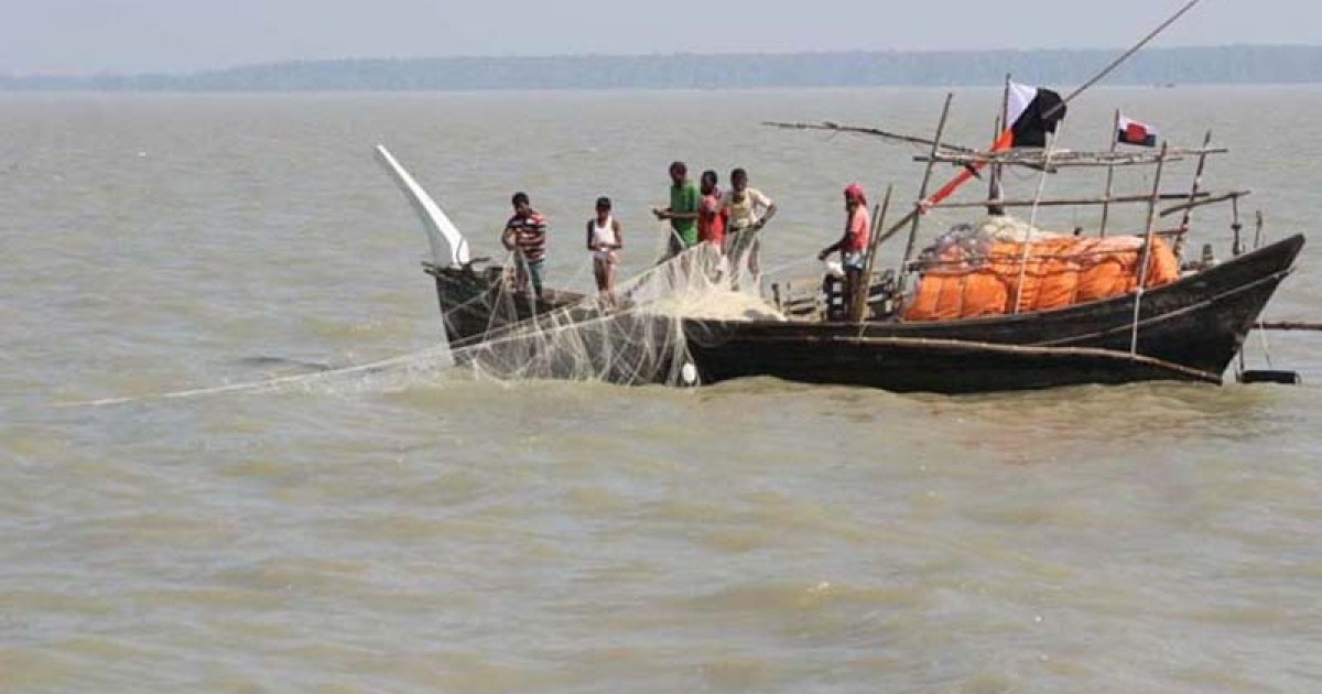 পদ্মায় মাছের জন্য ফেলা জালে উঠে এলো কুমির