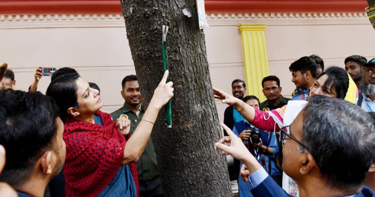 গাছ সুরক্ষায় পেরেক ঠুকে বিজ্ঞাপন দেওয়ার বিরুদ্ধে আইন করা হবে