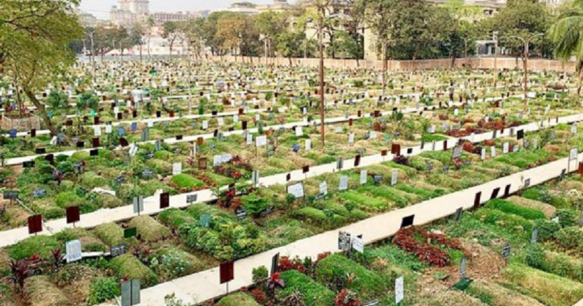 গোরস্থানে চাঁদাবাজি করায় বিএনপি নেতা বহিষ্কার