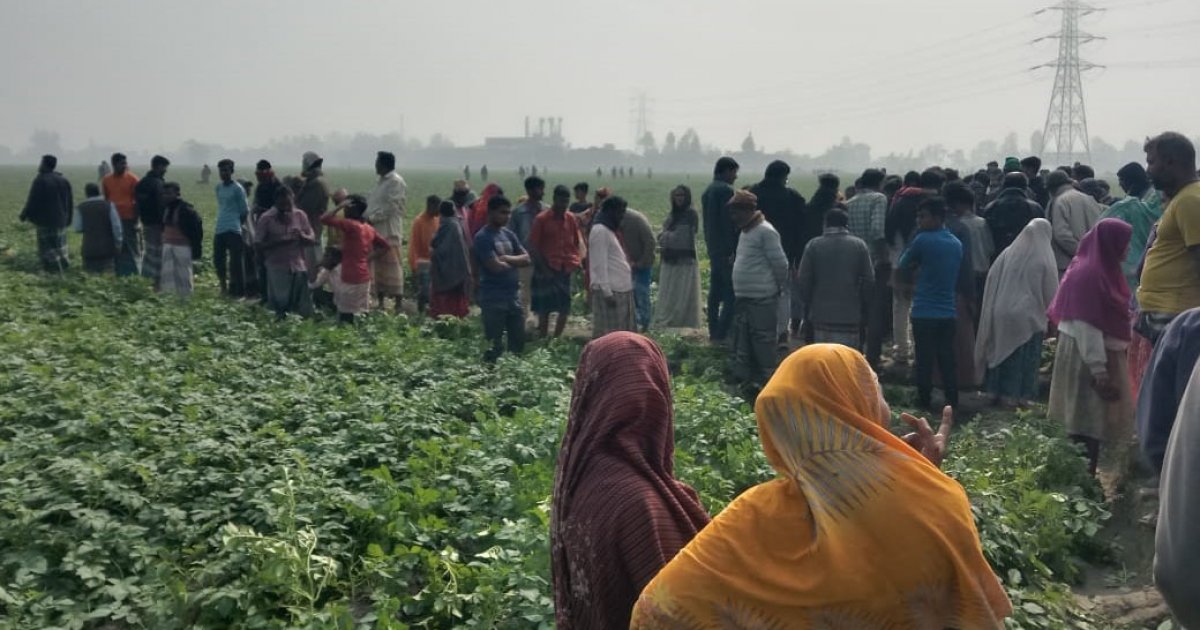 আলুক্ষেতে পাওয়া গেলো নিখোঁজ বৃদ্ধের মরদেহ