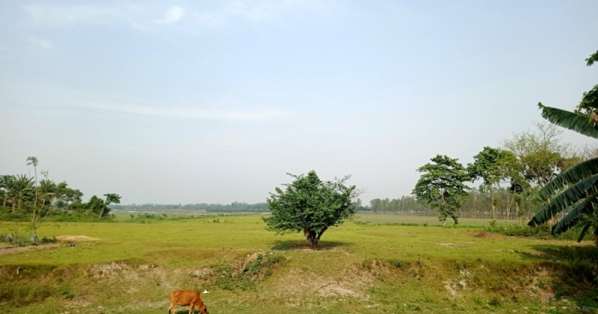 ভারত সীমান্তে ঢুকে সেলফি তোলা দুই বাংলাদেশিকে ধরে নিয়ে গেছে বিএসএফ