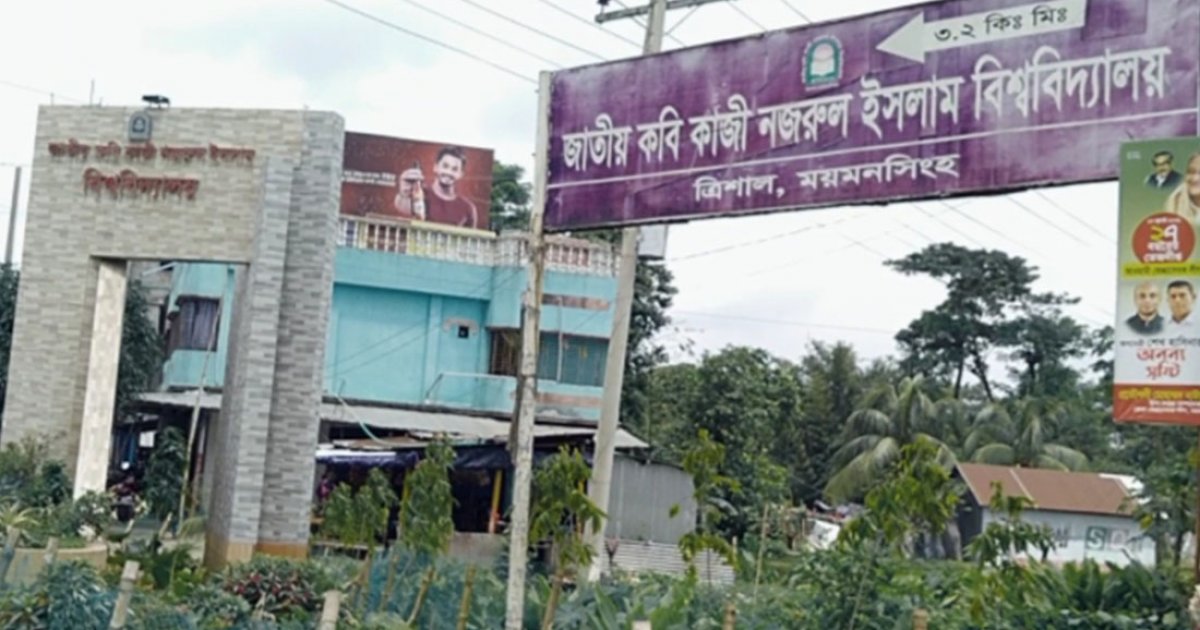 নজরুল বিশ্ববিদ্যালয় ছাত্রলীগ ও আওয়ামীপন্থি শিক্ষকসহ ২১০ জনের বিরুদ্ধে মামলা