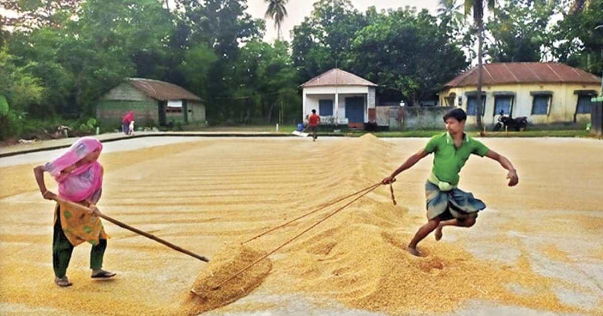 খাদ্যগুদামে চাল সরবরাহ না করায় রাজশাহী বিভাগে ৬১টি চালকলের লাইসেন্স বাতিল