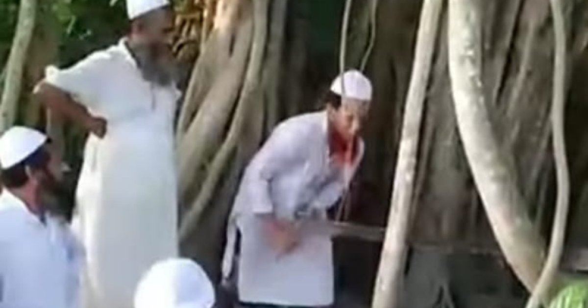 শিরক অজুহাতে কেটে ফেলা হয়েছে শতবর্ষী বট গাছ