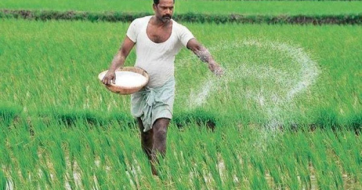 আমন মৌসুমে ইউরিয়া সরবরাহ ব্যাহতের শঙ্কা!