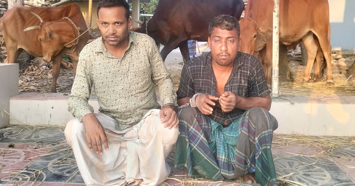 চেকপোস্টে পুলিশের গুলিবিনিময়, পাঁচ চোরাই গরুসহ ২ ডাকাত গ্রেফতার