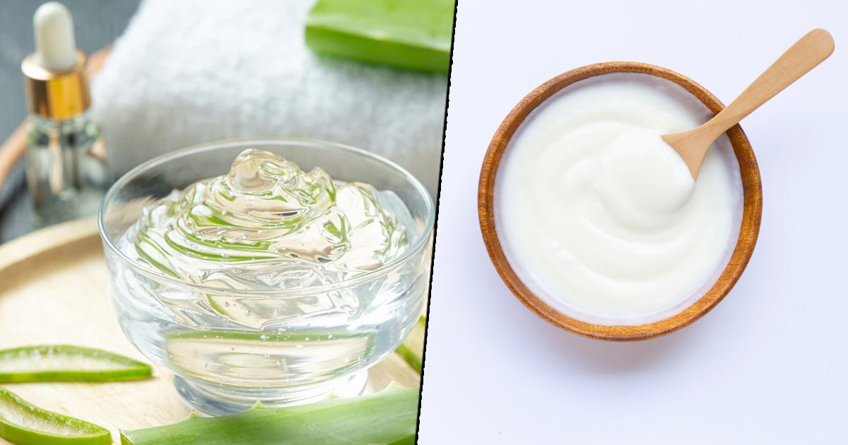চুল চকচকে করবে অ্যালোভেরার এই প্যাক