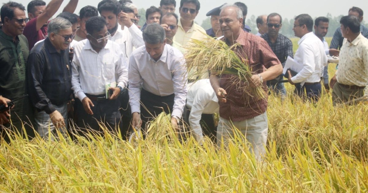 ভীতির কোনও কারণ নাই, আমাদের সীমান্ত সম্পূর্ণ নিরাপদ: স্বরাষ্ট্র উপদেষ্টা