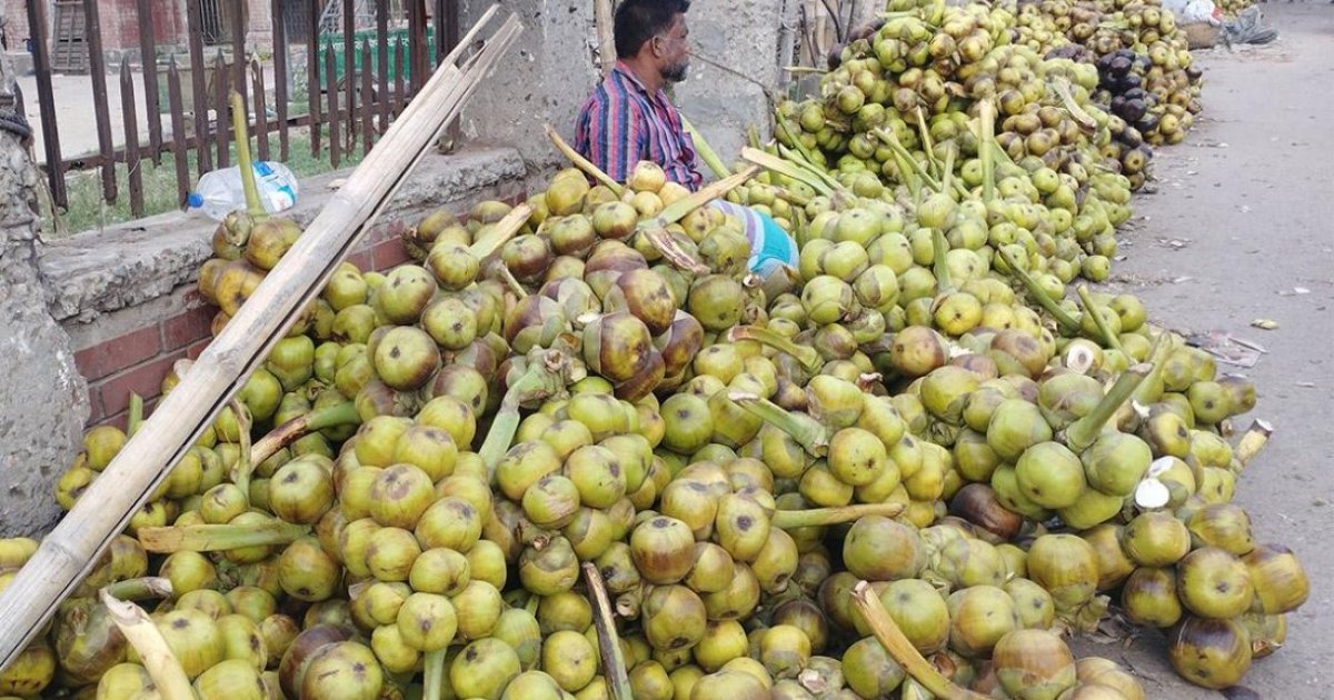 তালের শাঁস খেলে এত উপকার পাওয়া যায় জানতেন?